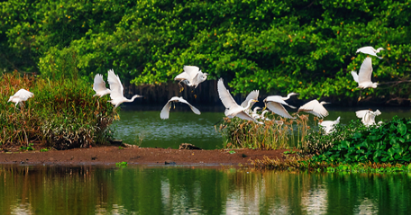 【江門陽江2天】<深中通道、無限次浸泡空中園林溫泉赤坎古鎮(zhèn)僑鄉(xiāng)國際旅游區(qū)天麓山海山頂攬勝、十里銀灘>